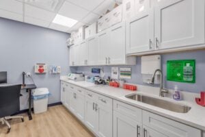 Lab