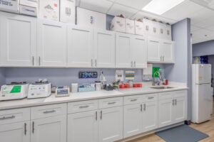 Lab